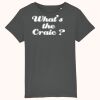 Kids Organic Cotton T Shirt Thumbnail