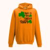 College hoodie Thumbnail