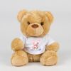 Bear in a t-shirt Thumbnail